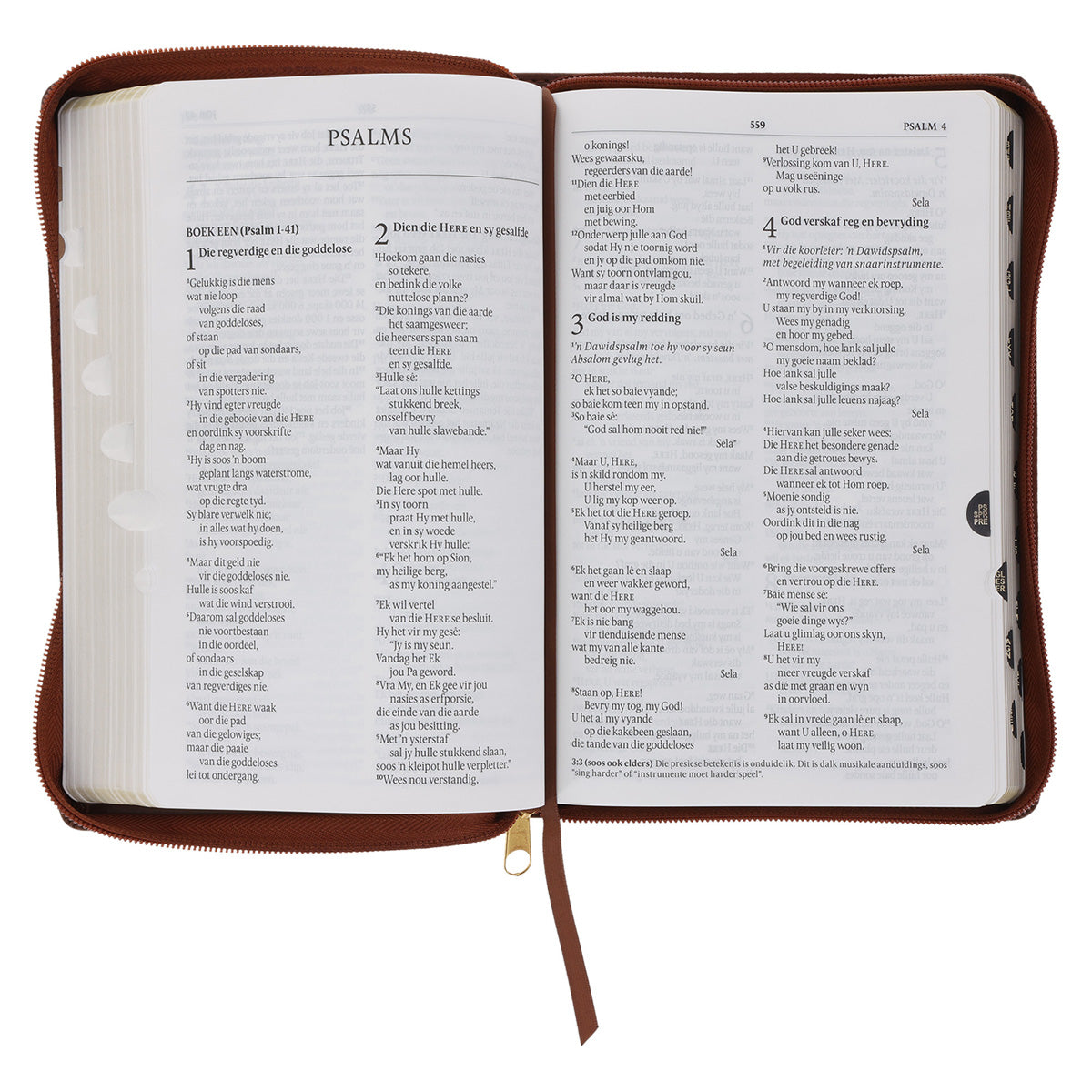 NLV Taan Bruin Kunsleer Standaard Bybel met Ritssluiter en Duimgrepe