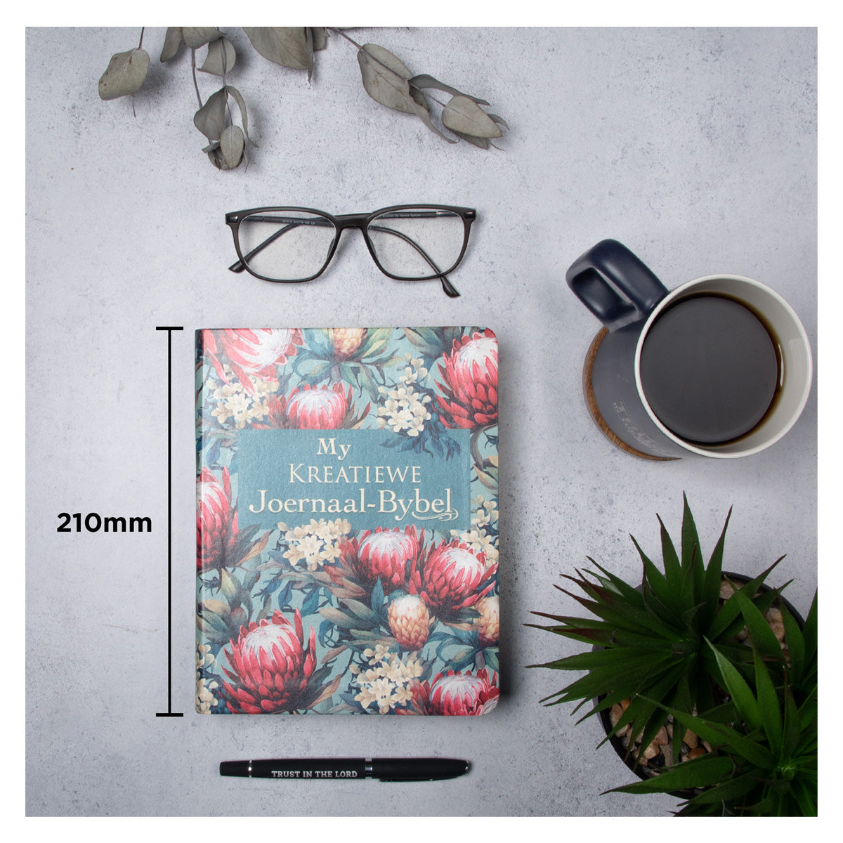 NLV Proteas Kunsleer My Kreatiewe Joernaal-Bybel
