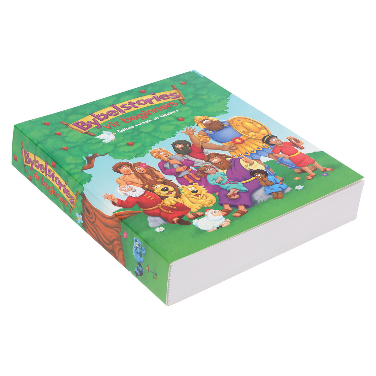 Bybelstories vir Beginners: Tydlose verhale vir Kleuters (Sagteband)