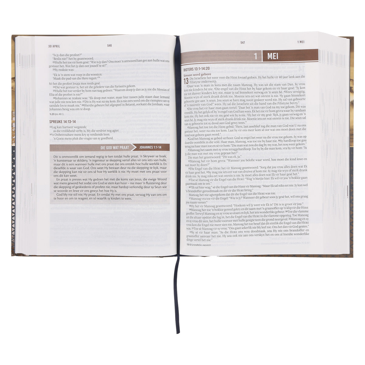 NLV Landskap Hardeband Stiltetydbybel vir Mans