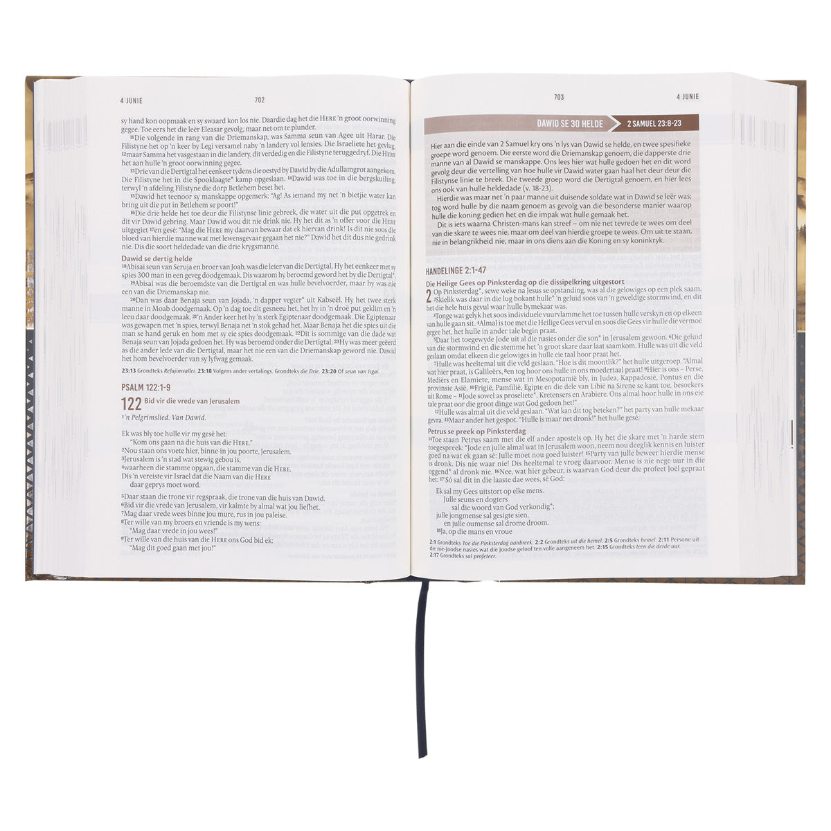 NLV Landskap Hardeband Stiltetydbybel vir Mans