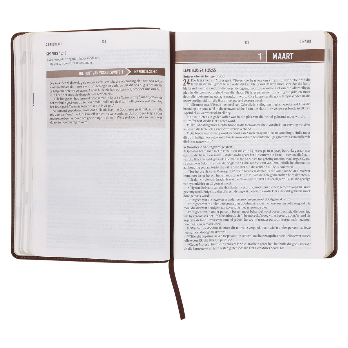 NLV Bruin Kunsleer Stiltetydbybel vir Mans