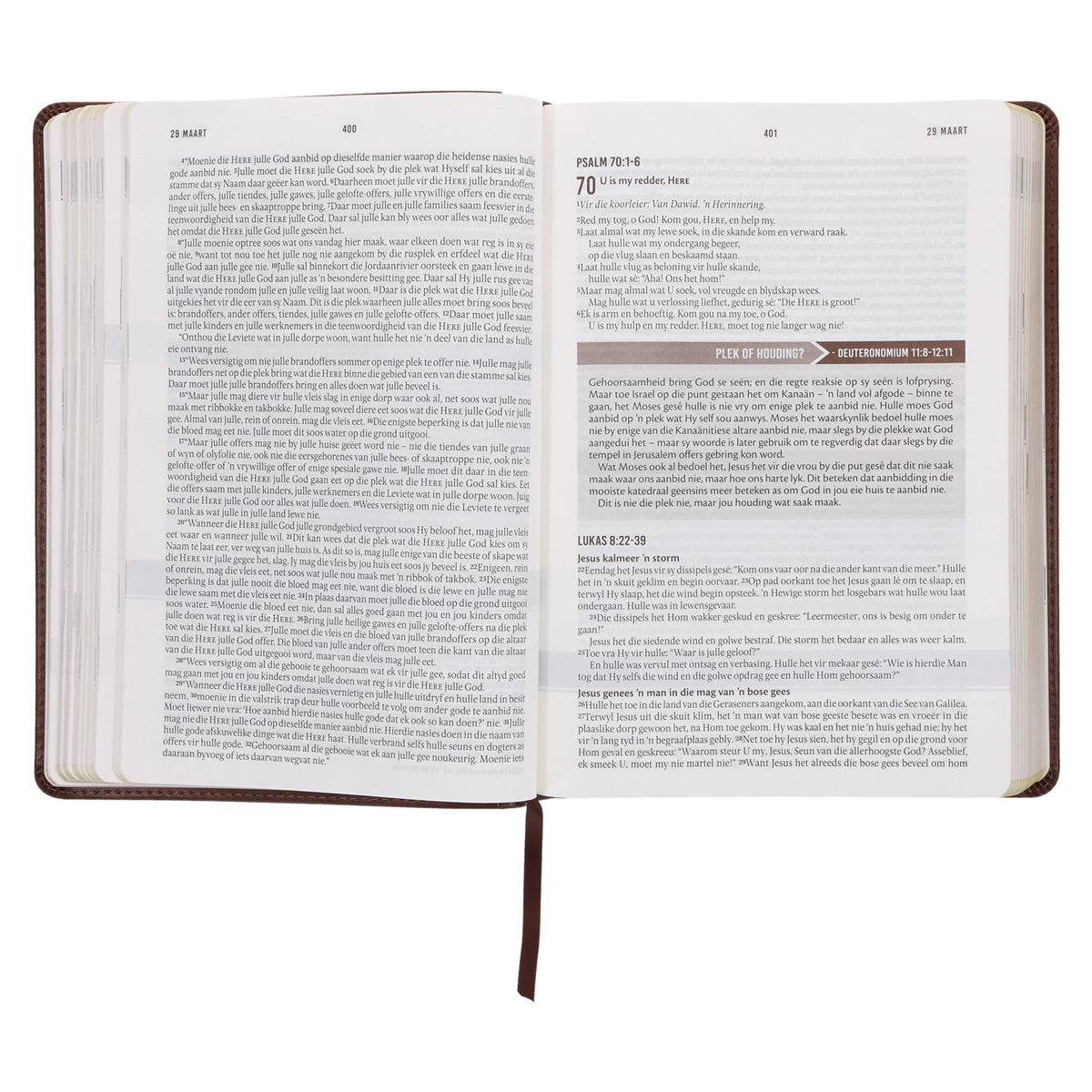 NLV Bruin Kunsleer Stiltetydbybel vir Mans