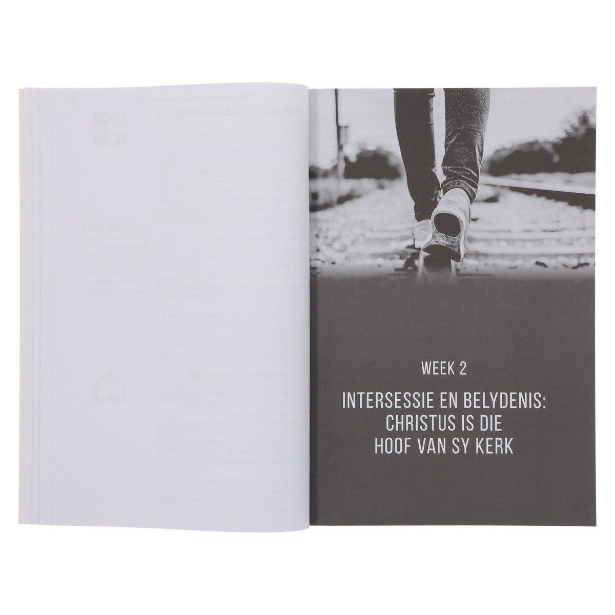 Ontdek Jou Doel in God Se Plan Bybelstudie - 10 Studies uit Efesiërs (Sagteband)