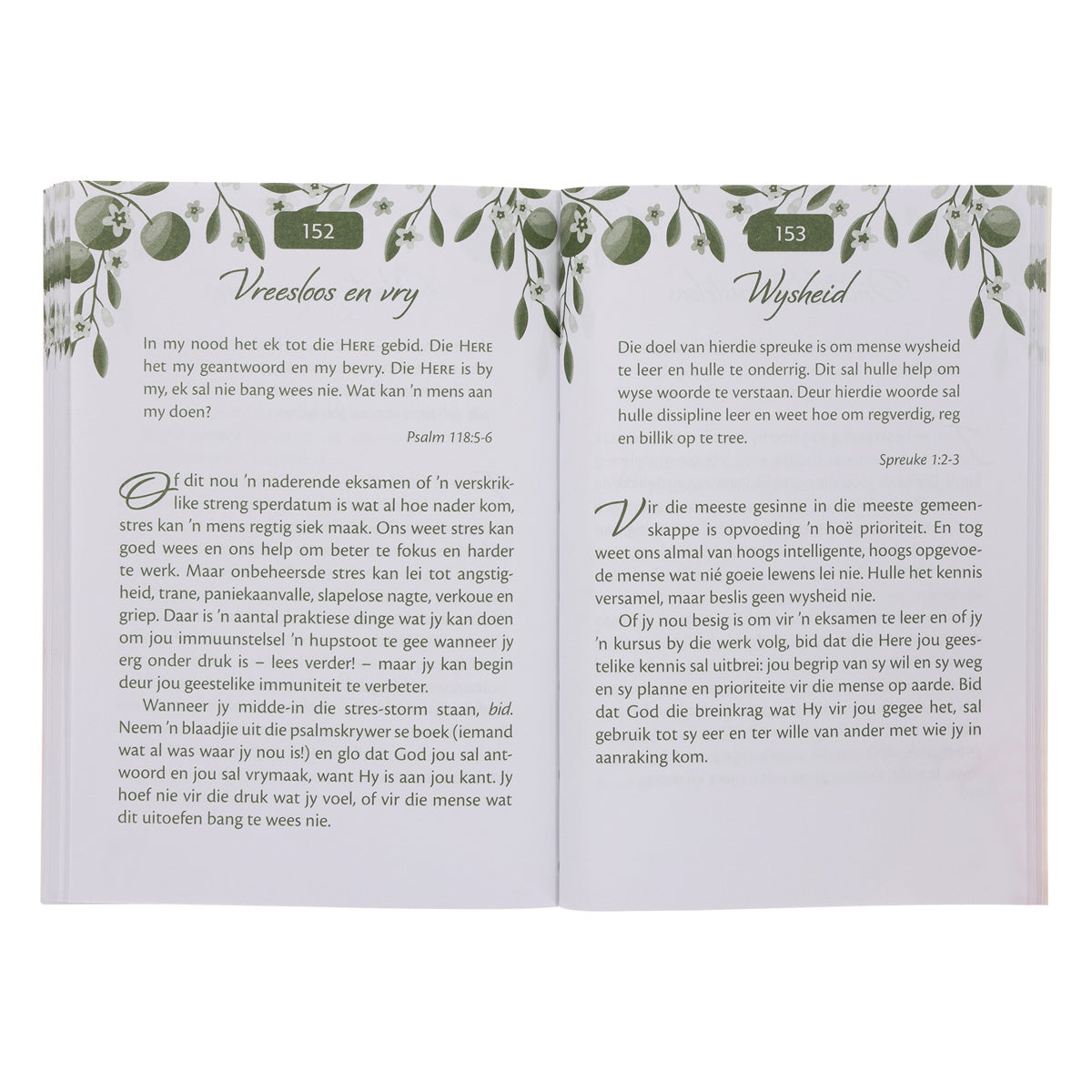 Mini-Oordenkings om Jou Siel te Verkwik (Sagteband)