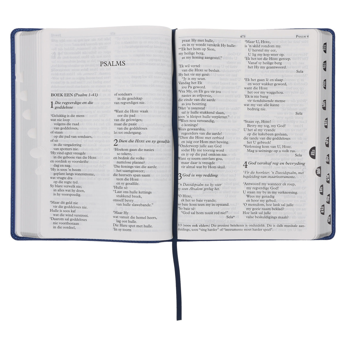 NLV Koningsblou Egte Leer Grootdruk Bybel
