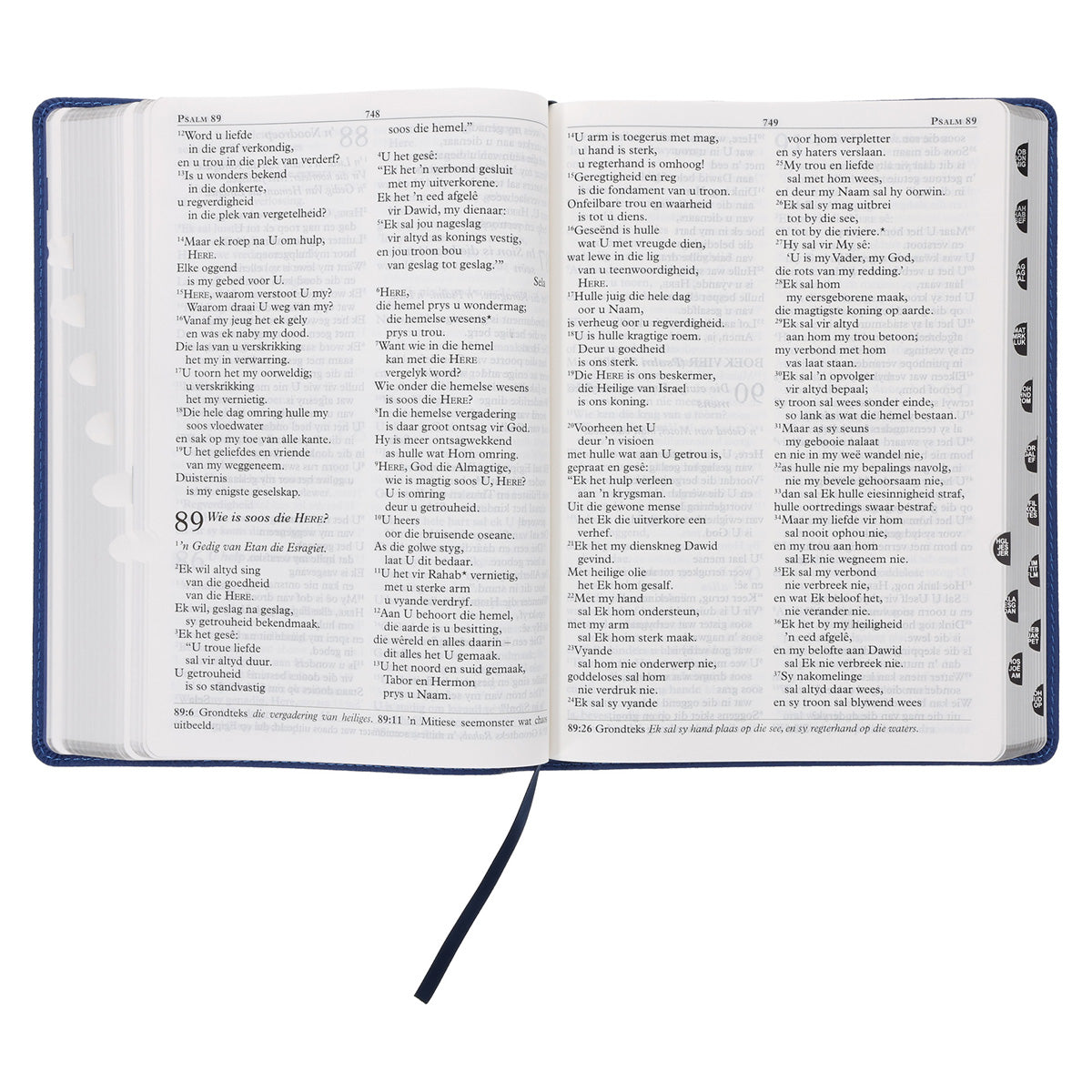 NLV Koningsblou Egte Leer Grootdruk Bybel