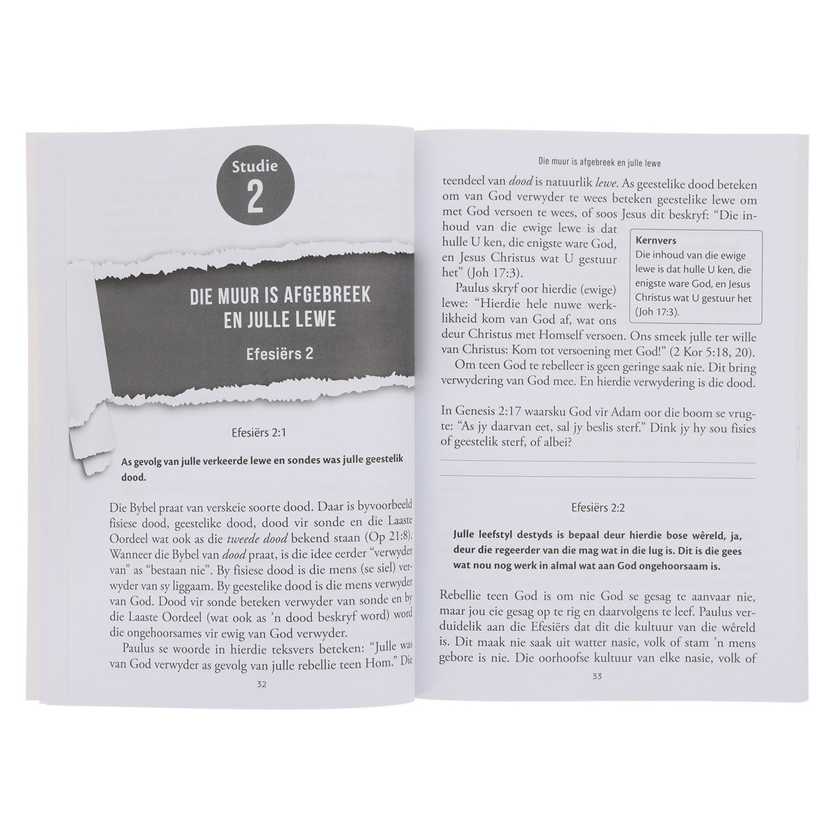 Efesiërs: 'n Bybelstudie - 8 Studies (Sagteband)
