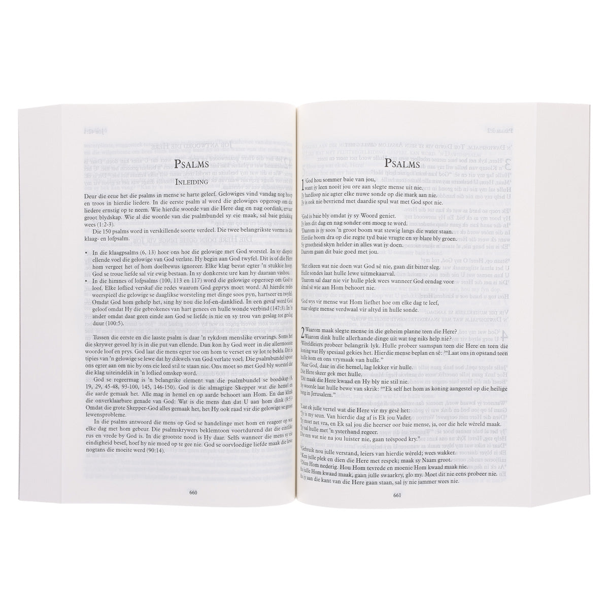 Die Boodskap Koringare Sagteband Bybel