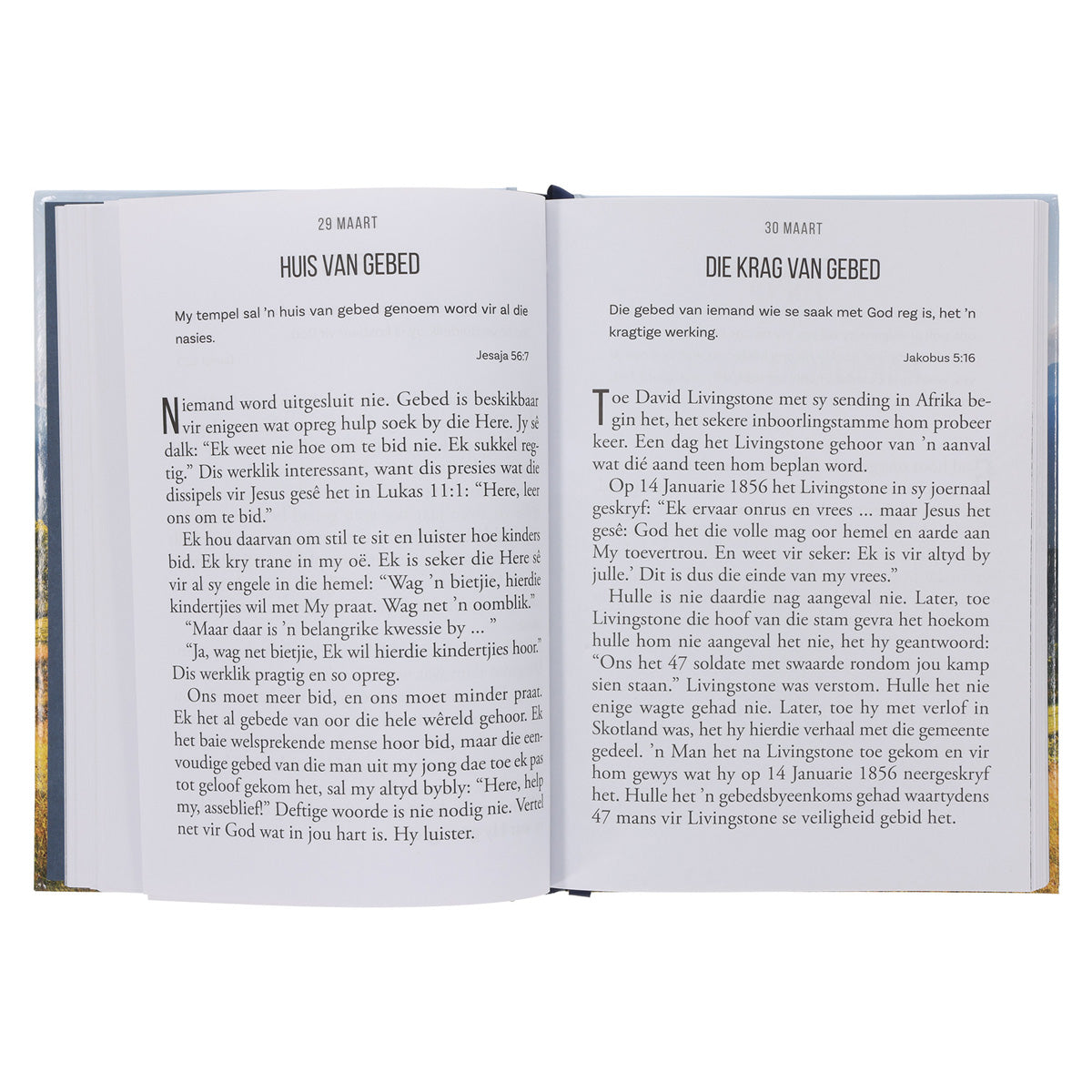 Vaste Geloof Grootdruk Dagstukke (Hardeband)