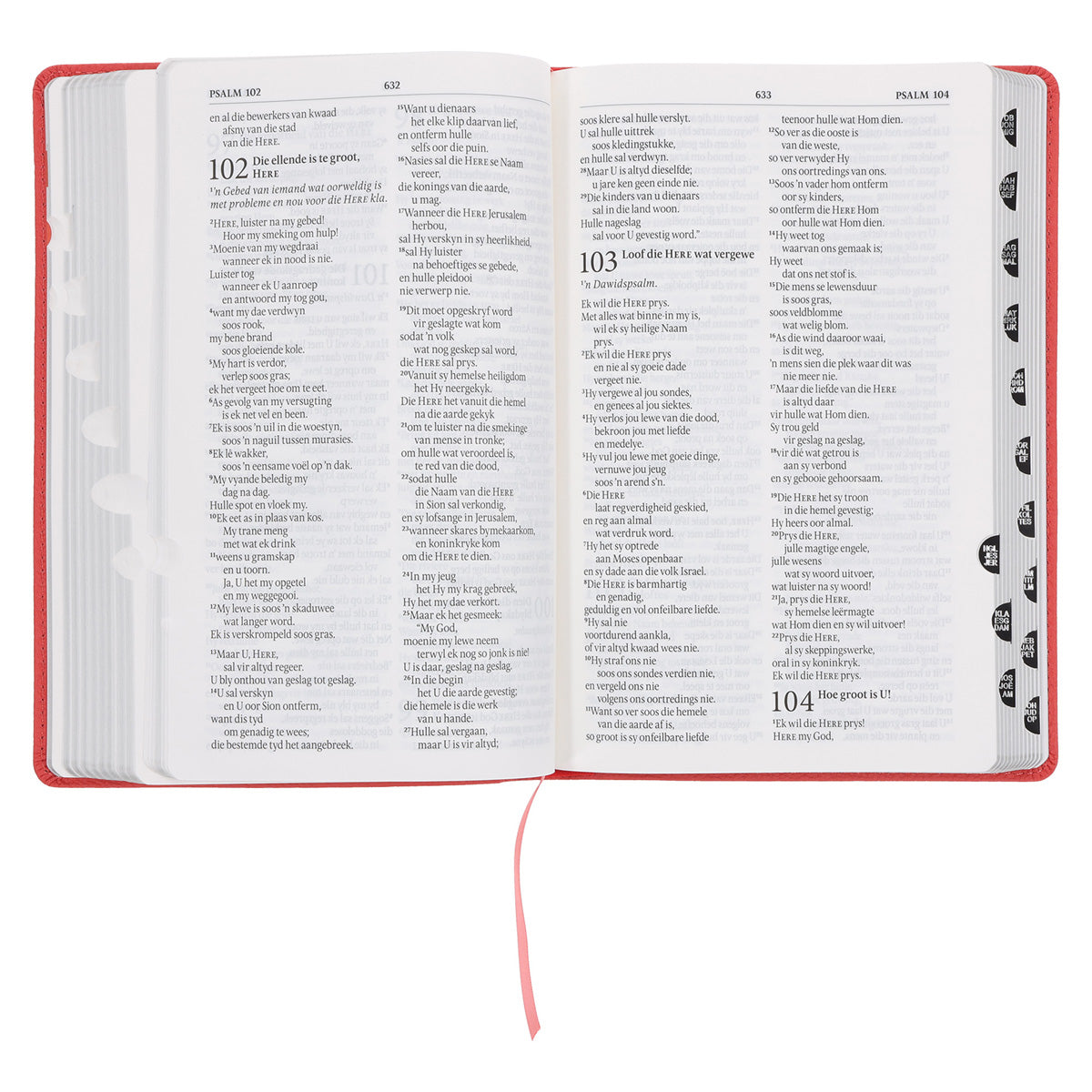 NLV Koraal Egte Leer Standaard Bybel