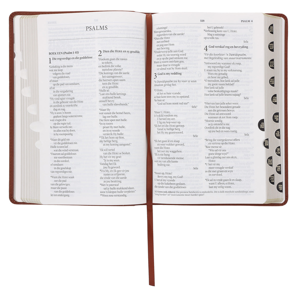 NLV Taan Egte Leer Standaard Bybel