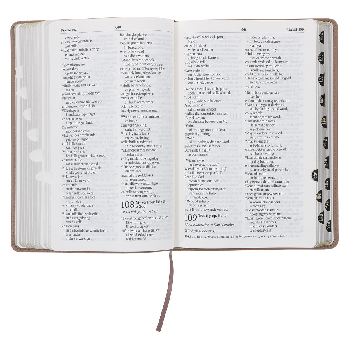 NLV Sandsteen Egte Leer Standaard Bybel