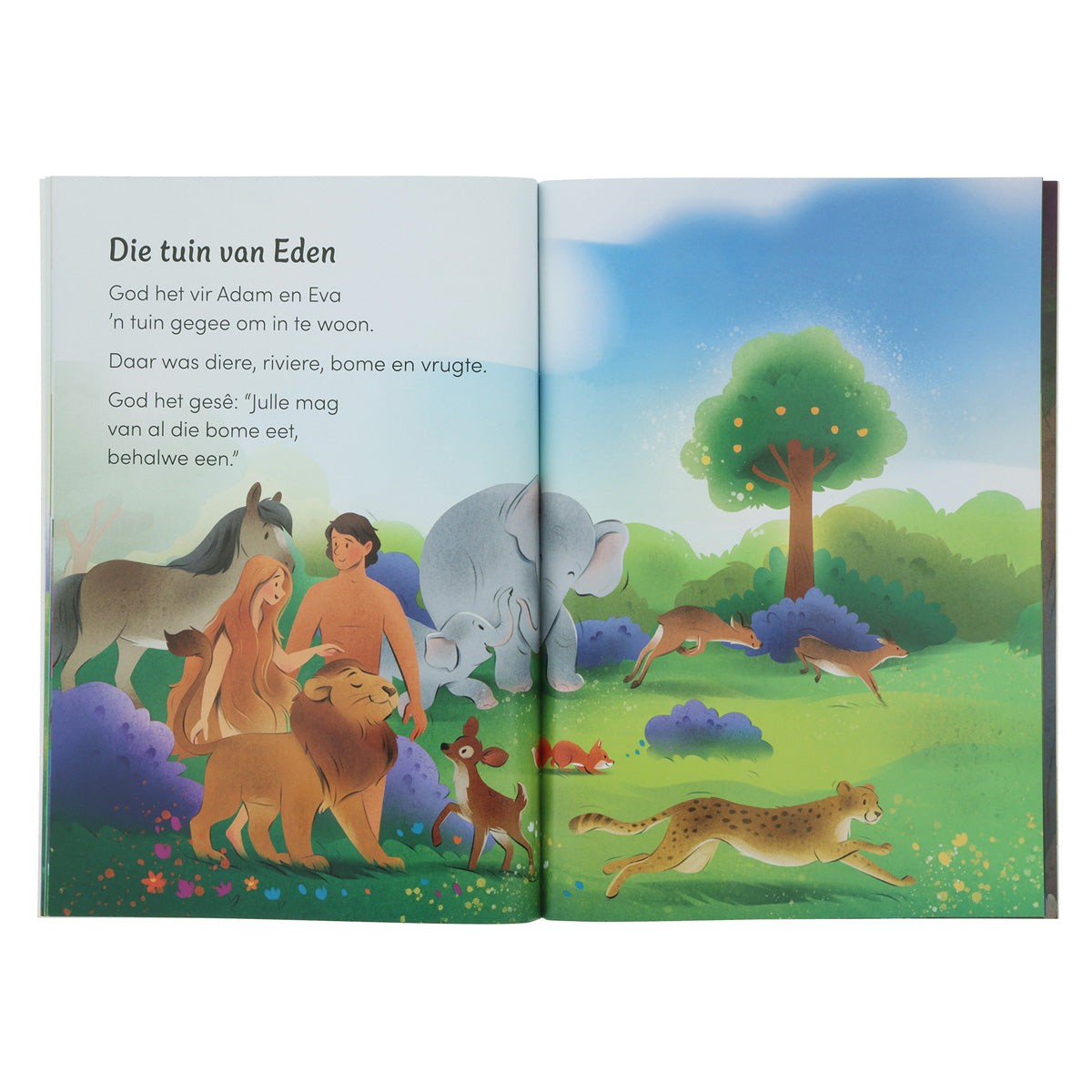 God Maak Alles - Eerste Lesers (Sagteband)