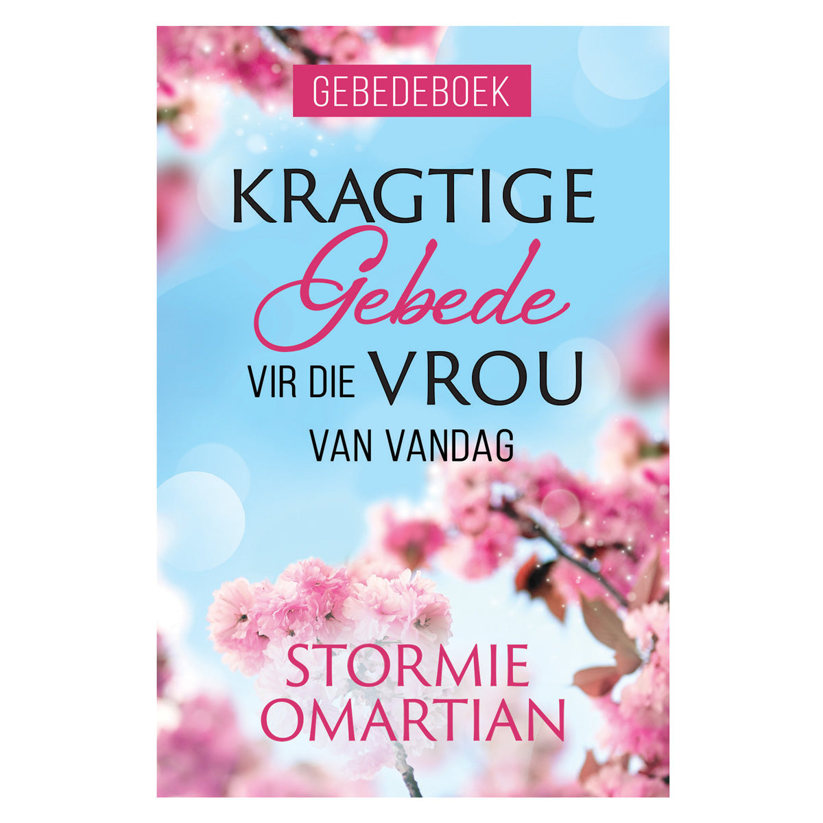 Kragtige Gebede vir die Vrou van Vandag Gebedeboek Hersiene Uitgawe (Sagteband)