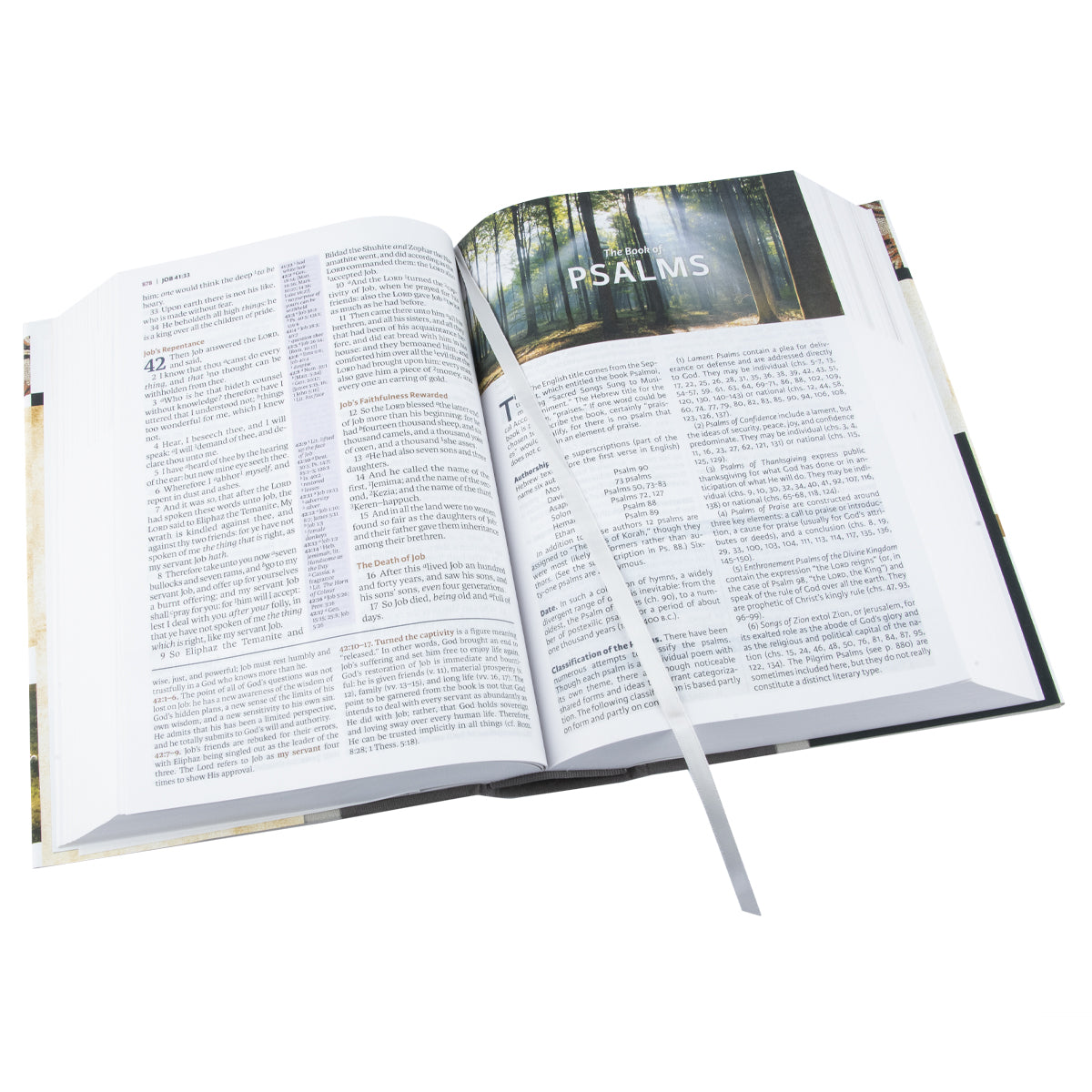 KJV Study Bible Full Color Edition (Hardcover)