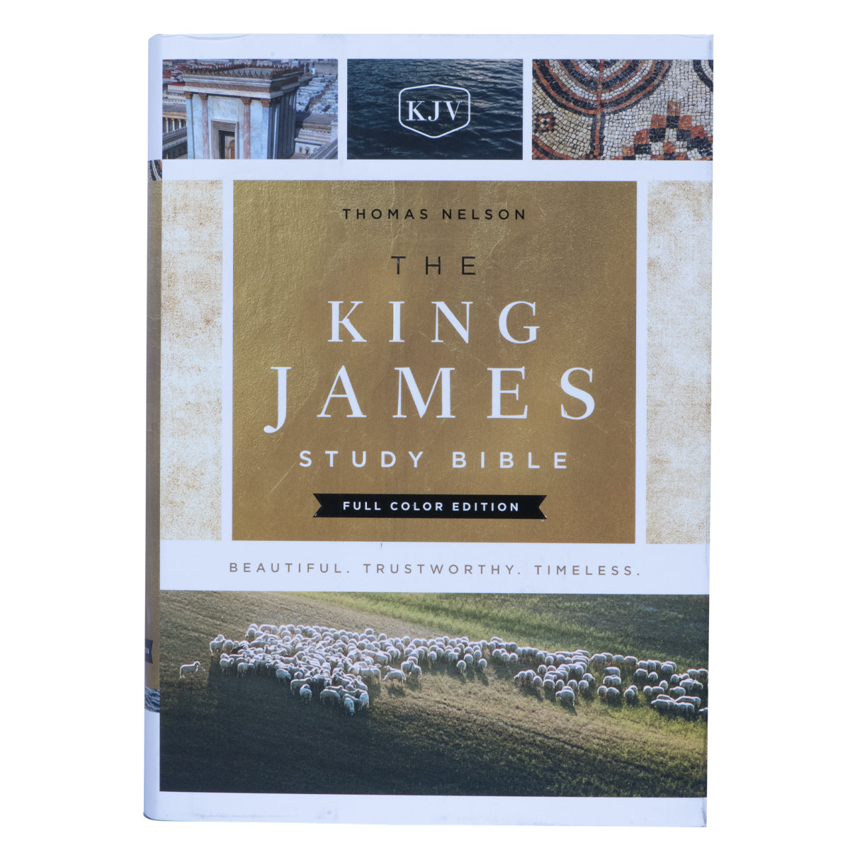KJV Study Bible Full Color Edition (Hardcover)