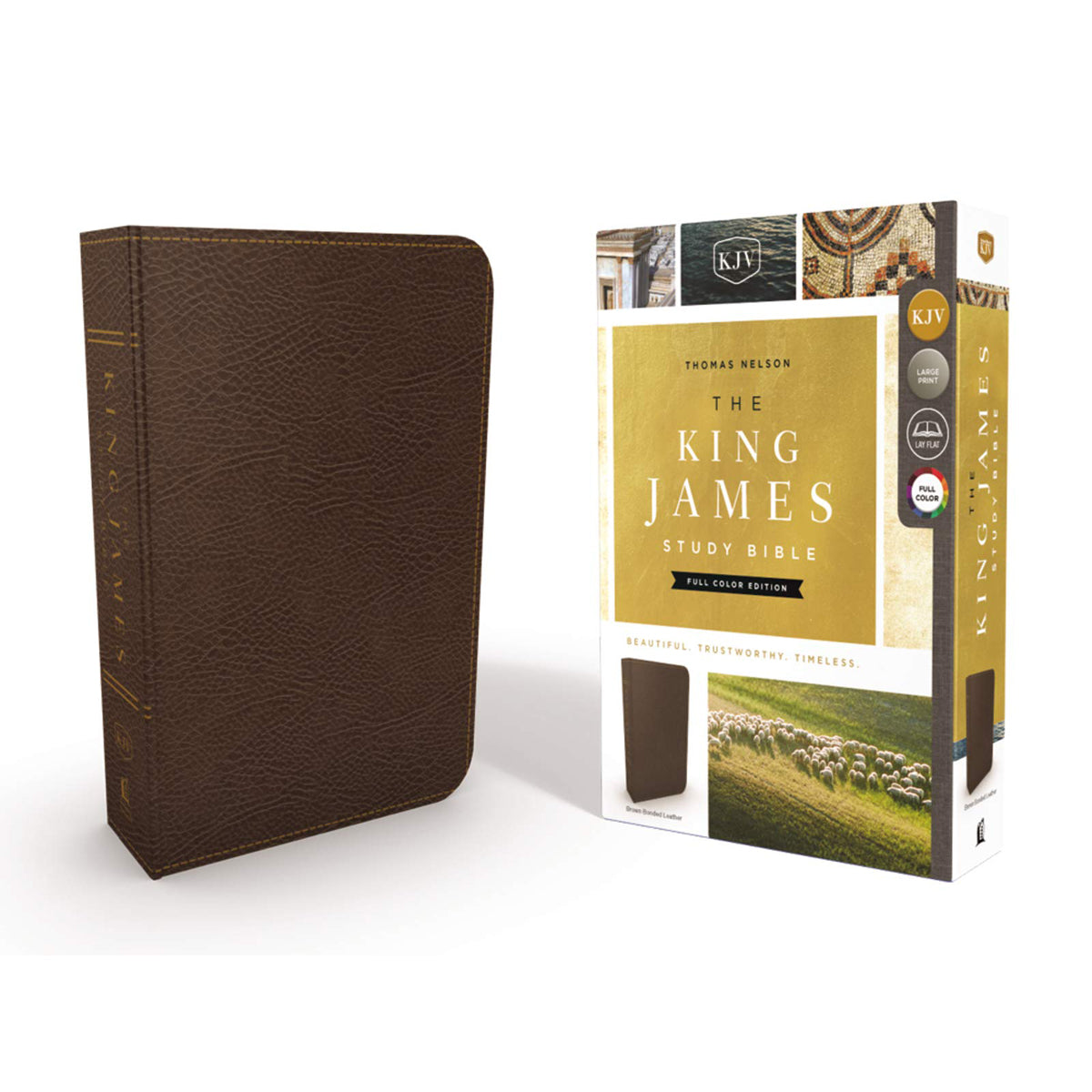 KJV Study Bible Brown (Bonded Leather)