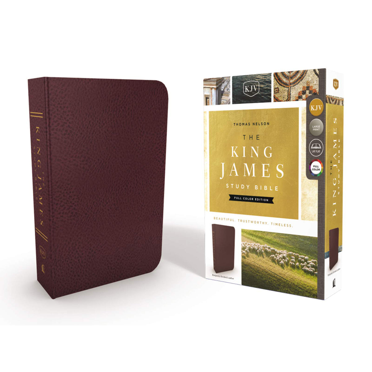 KJV Study Bible Burgundy (Bonded Leather)