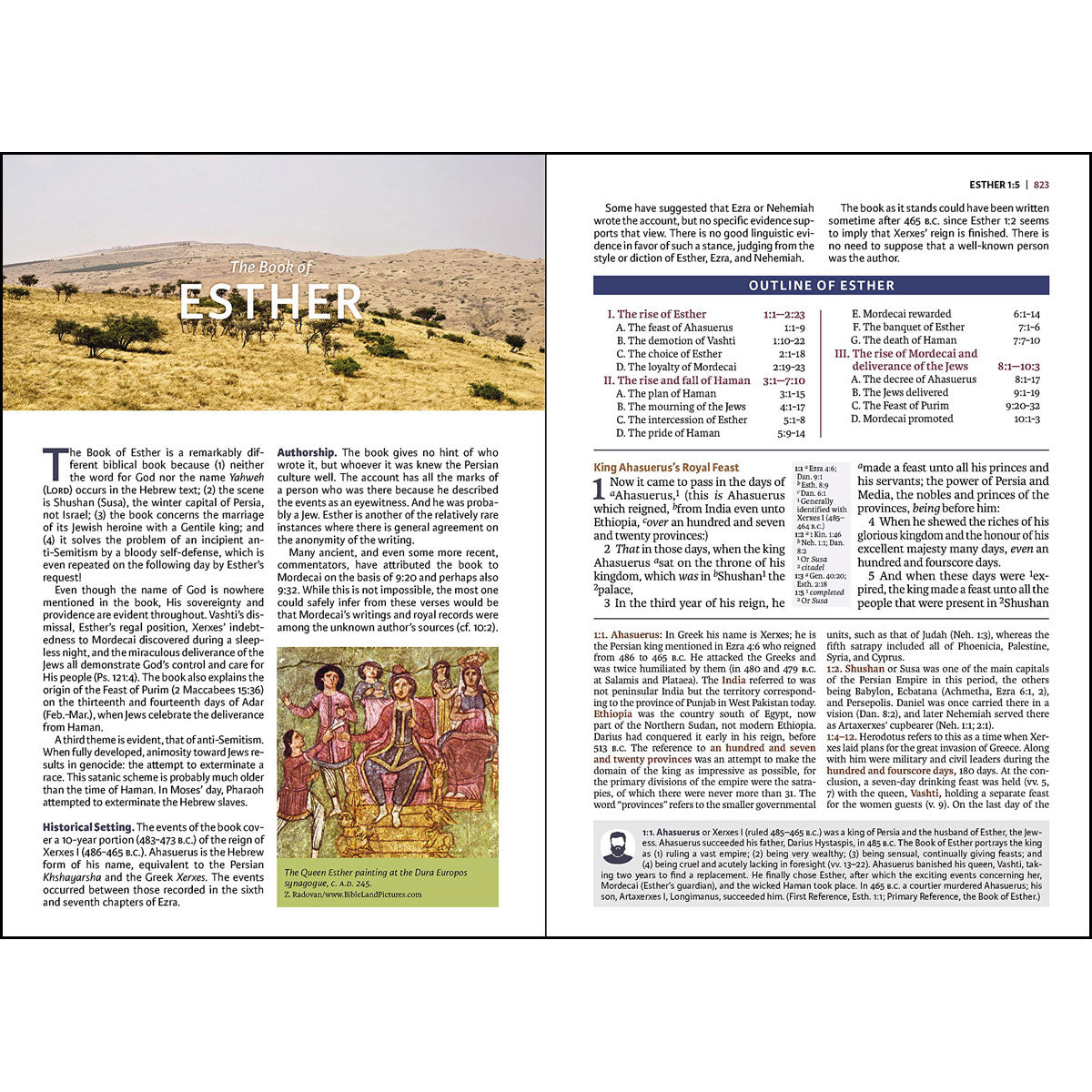 KJV Study Bible Burgundy (Bonded Leather)