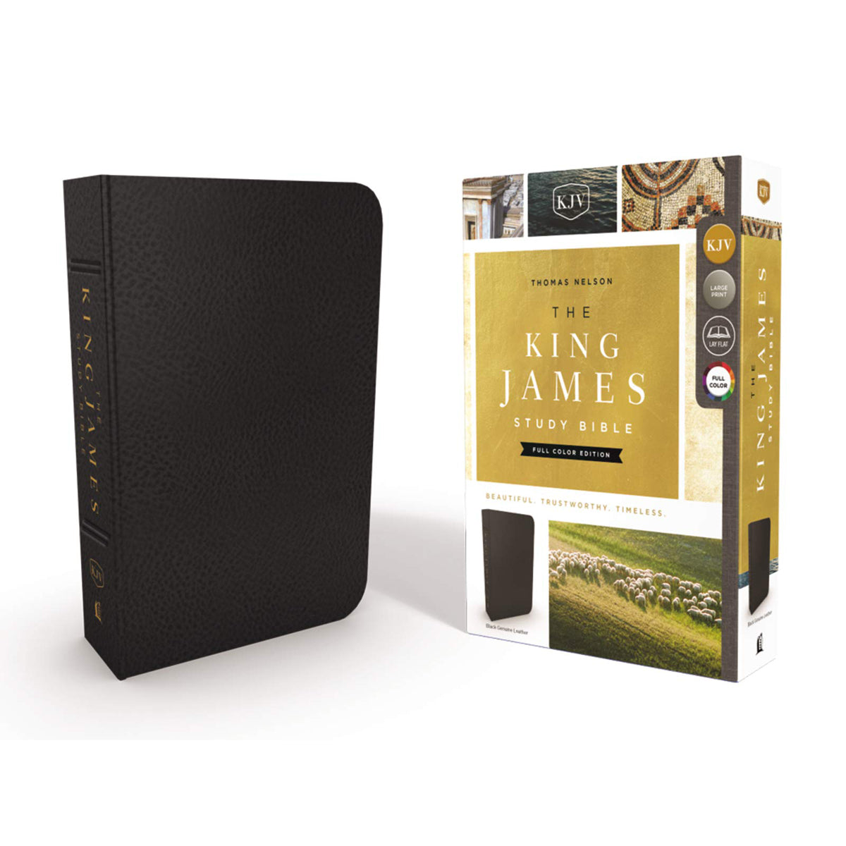 KJV Study Bible Black (Genuine Leather)
