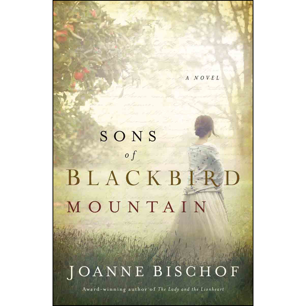 Sons Of Blackbird Mountain A Novel (Paperback)