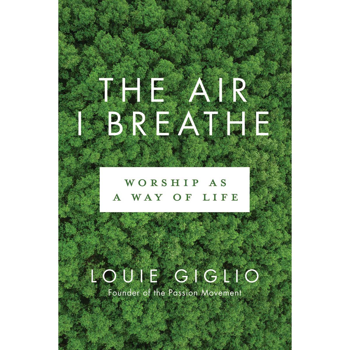 The Air I Breathe (Paperback)