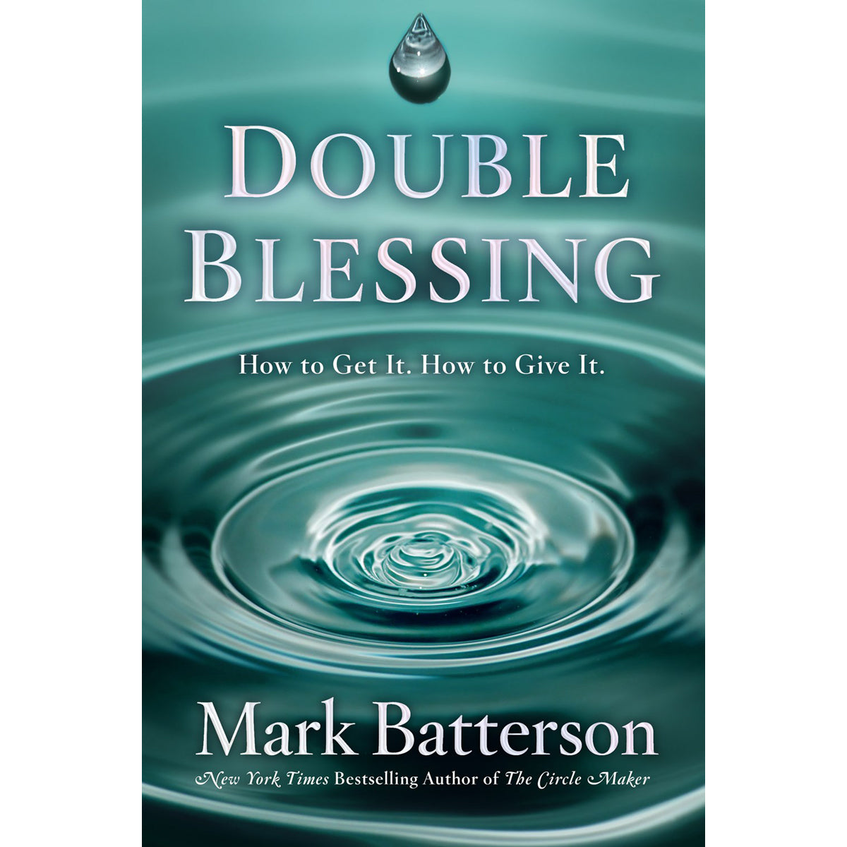 Double Blessing (Hardcover)