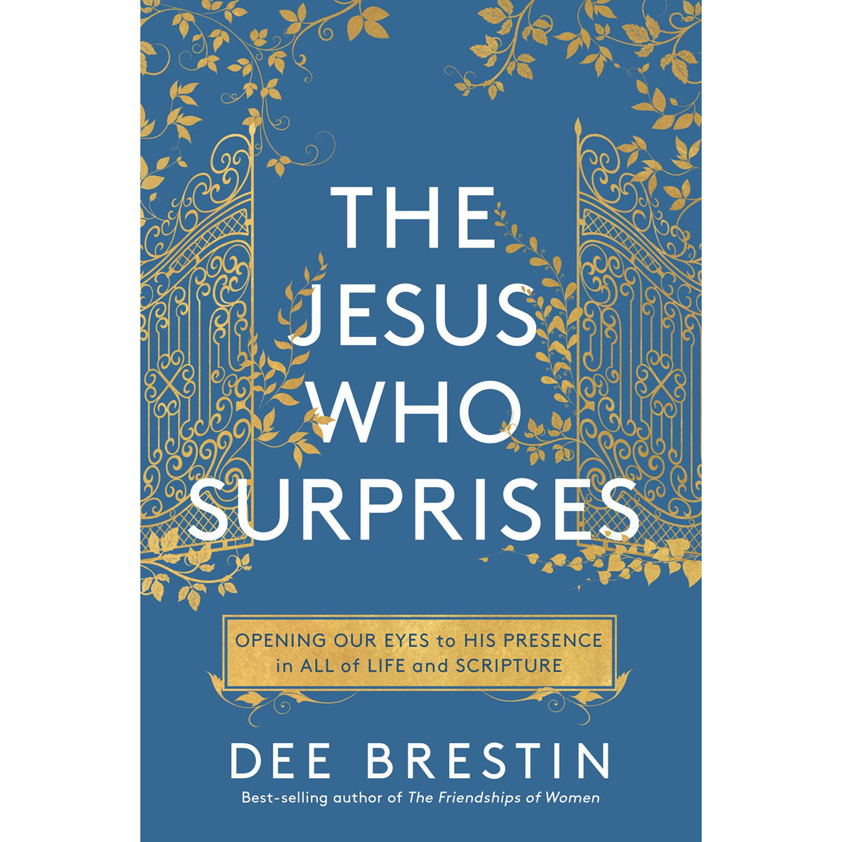 The Jesus Who Surprises (Paperback)