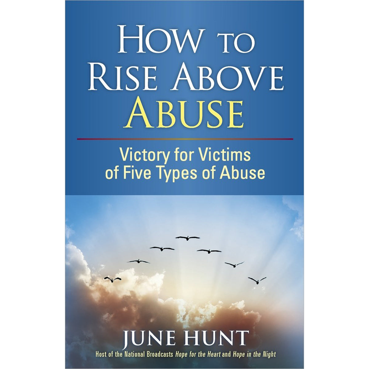How To Rise Above Abuse (Paperback)
