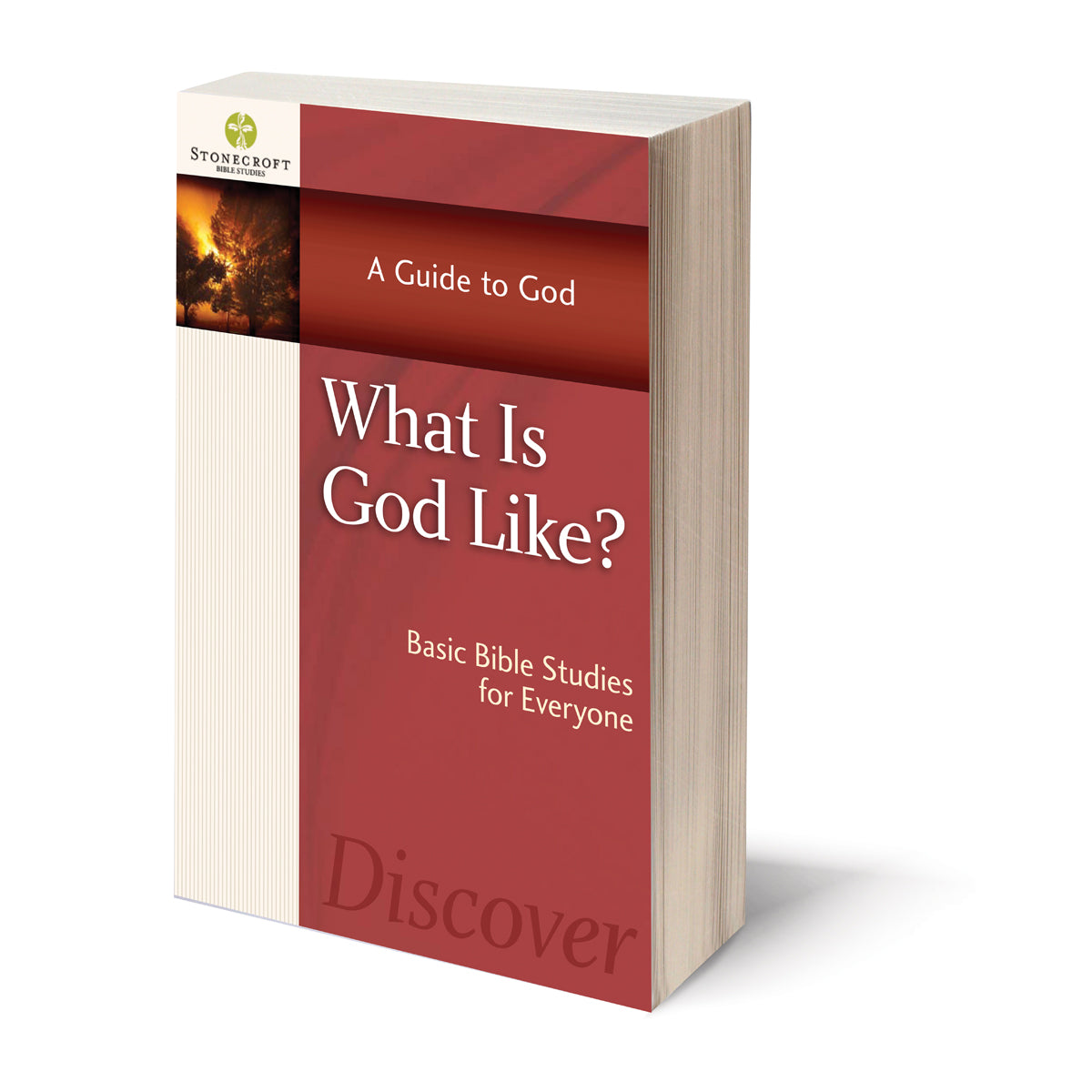 What Is God Like (Stonecroft Bible Studies)(Paperback)