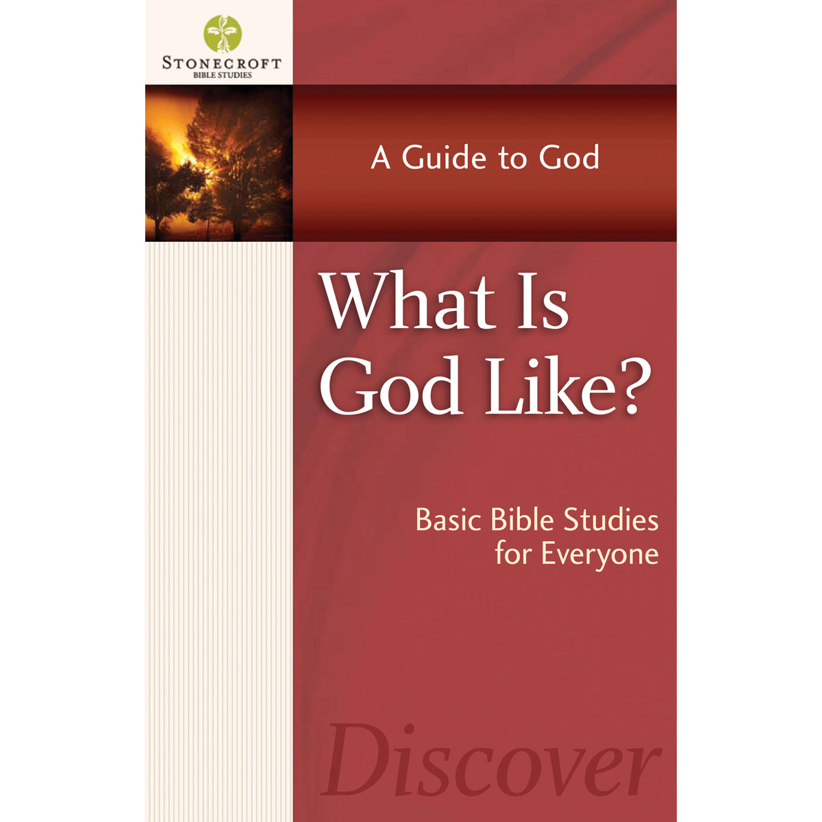 What Is God Like (Stonecroft Bible Studies)(Paperback)