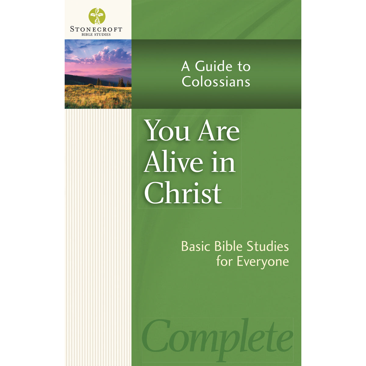 You Are Alive In Christ (Stonecroft Bible Studies)(Paperback)