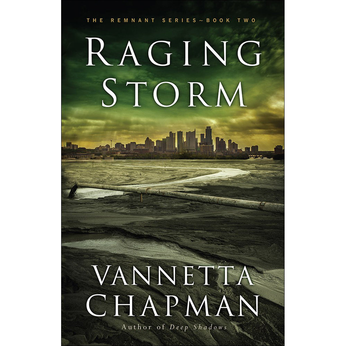 Raging Storm (2 The Remnant)(Paperback)