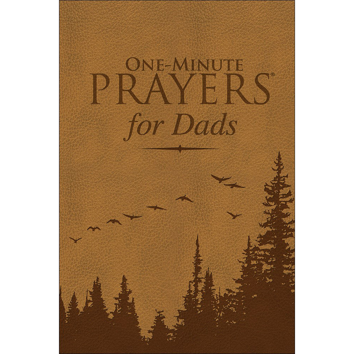 One-Minute Prayers For Dads (Imitation Leather)