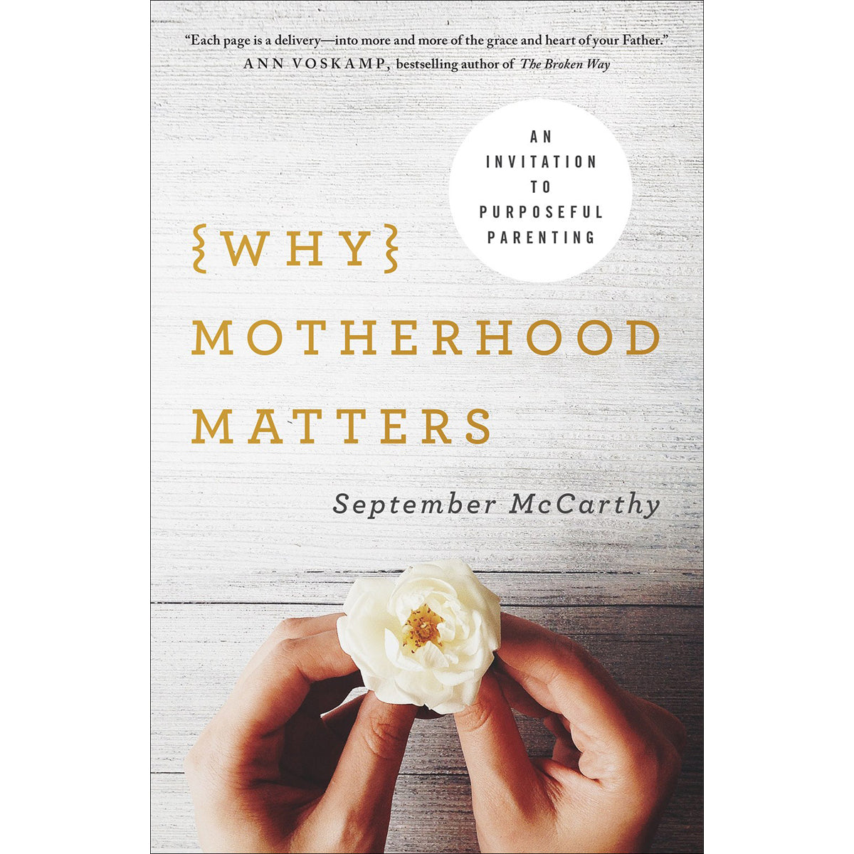 Why Motherhood Matters (Paperback)