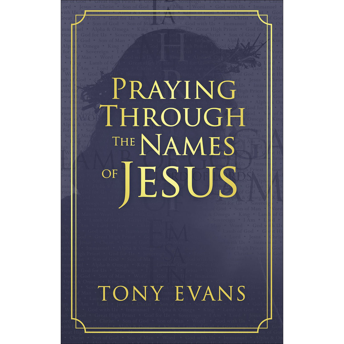 Praying Through The Names Of Jesus (Paperback)