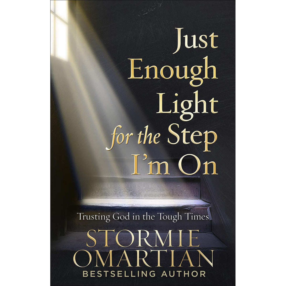 Just Enough Light For The Step I'm On (Paperback)
