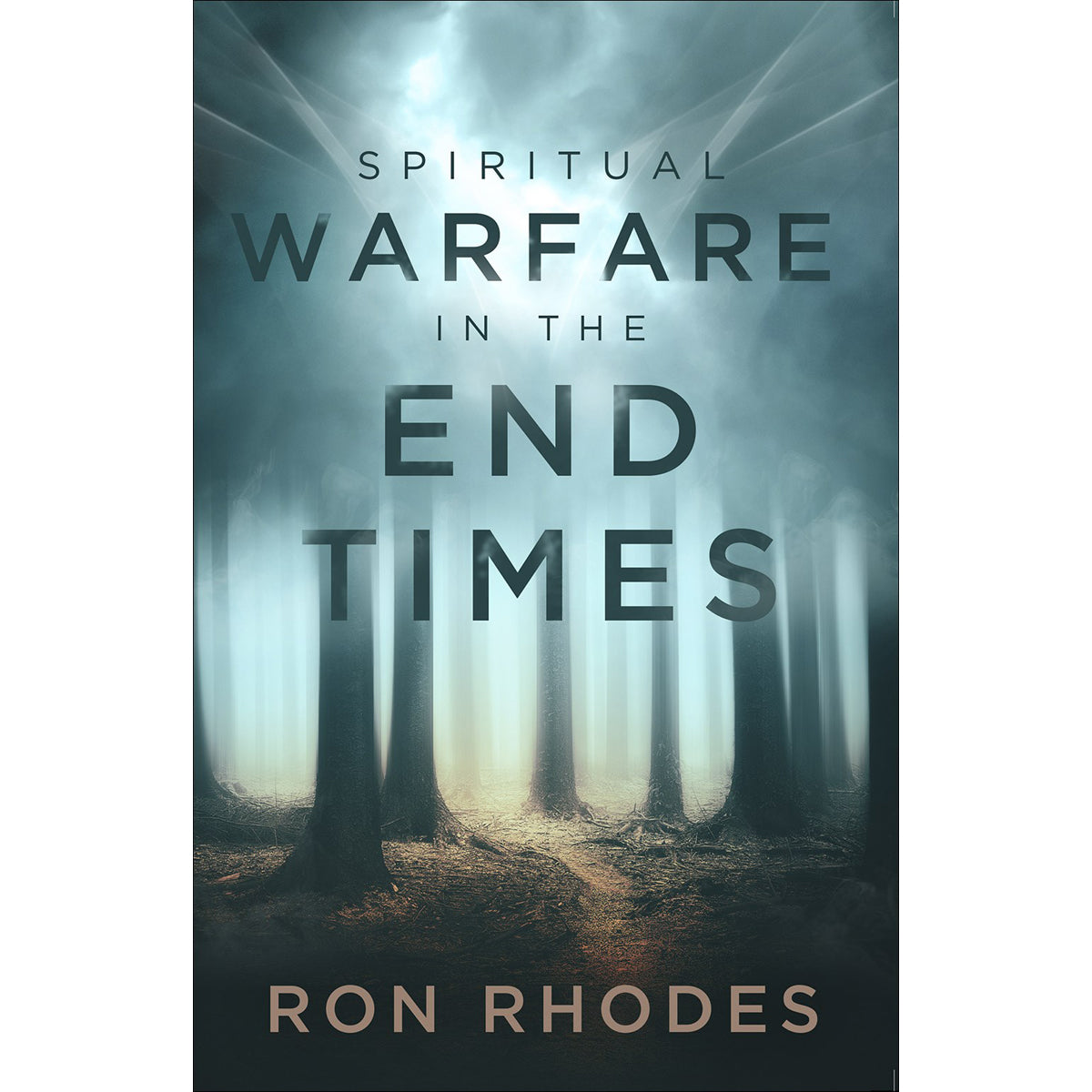 Spiritual Warfare In The End Times (Paperback)