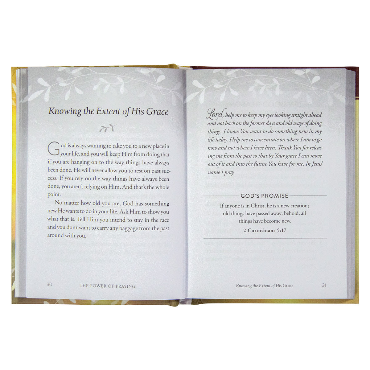 The Power Of Praying (The Power of Praying)(Hardcover)