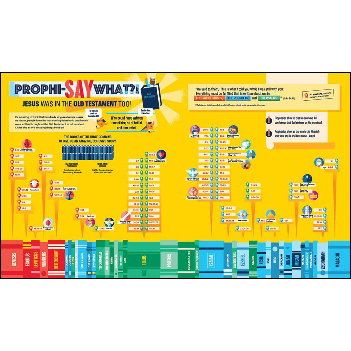Bible Infographics For Kids Epic Guide To Jesus (Hardcover)
