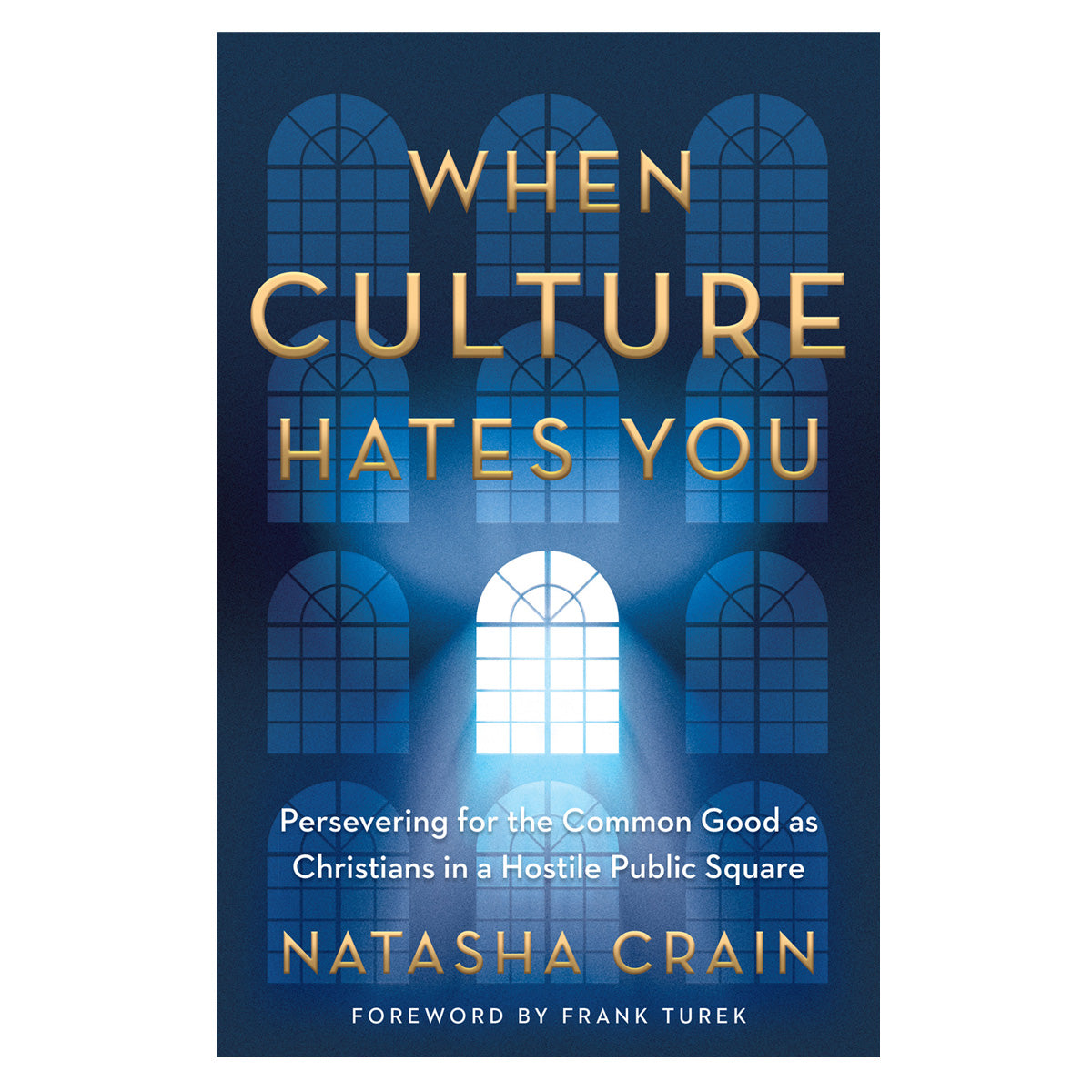When Culture Hates You: Persevering for the Common Good as Christians PB