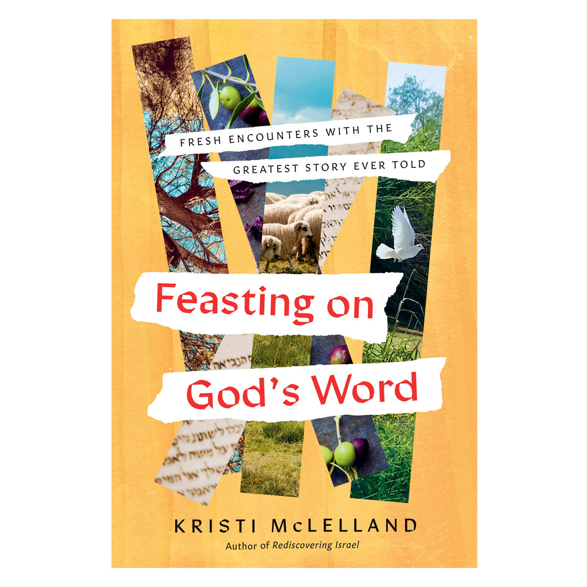 Feasting on God's Word: Fresh Encounters with the Greatest Story Ever Told (Hardcover)