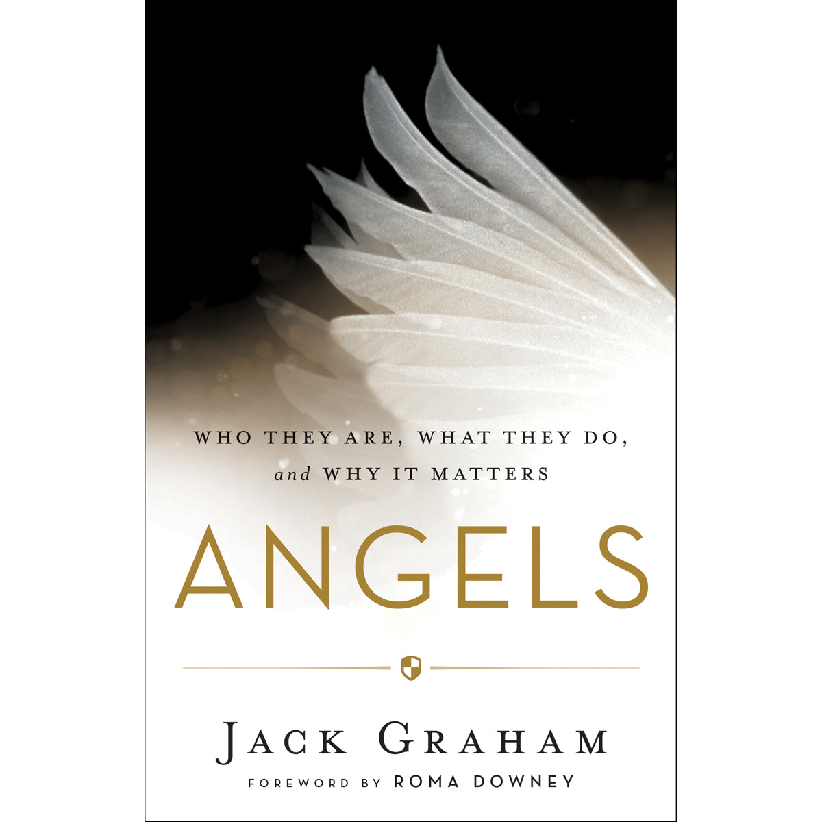 Angels Who They Are, What They Do, Why It Matters (Paperback)