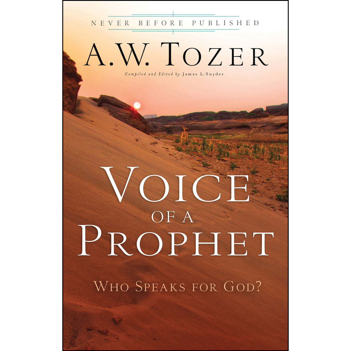 Voice Of A Prophet (Paperback)
