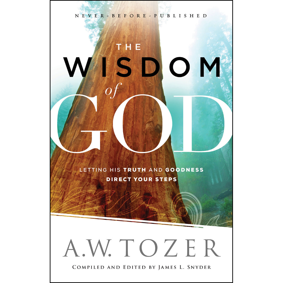 The Wisdom Of God (Paperback)