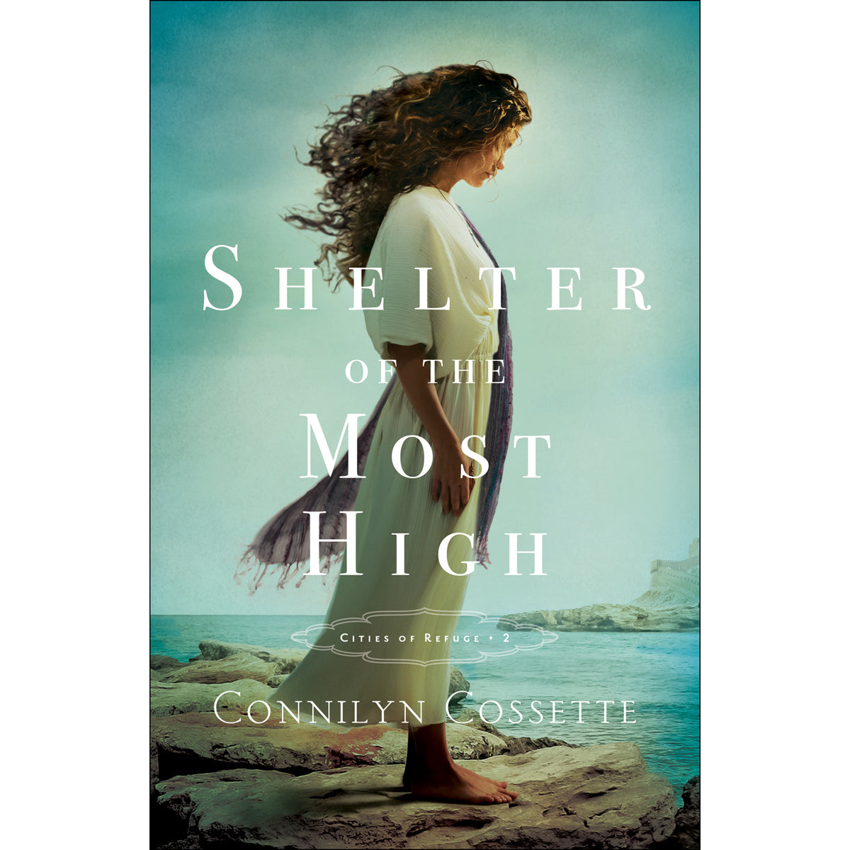 Shelter Of The Most High (2 Cities Of Refuge)(Paperback)