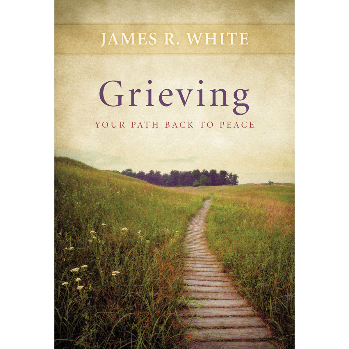 Grieving (Paperback)