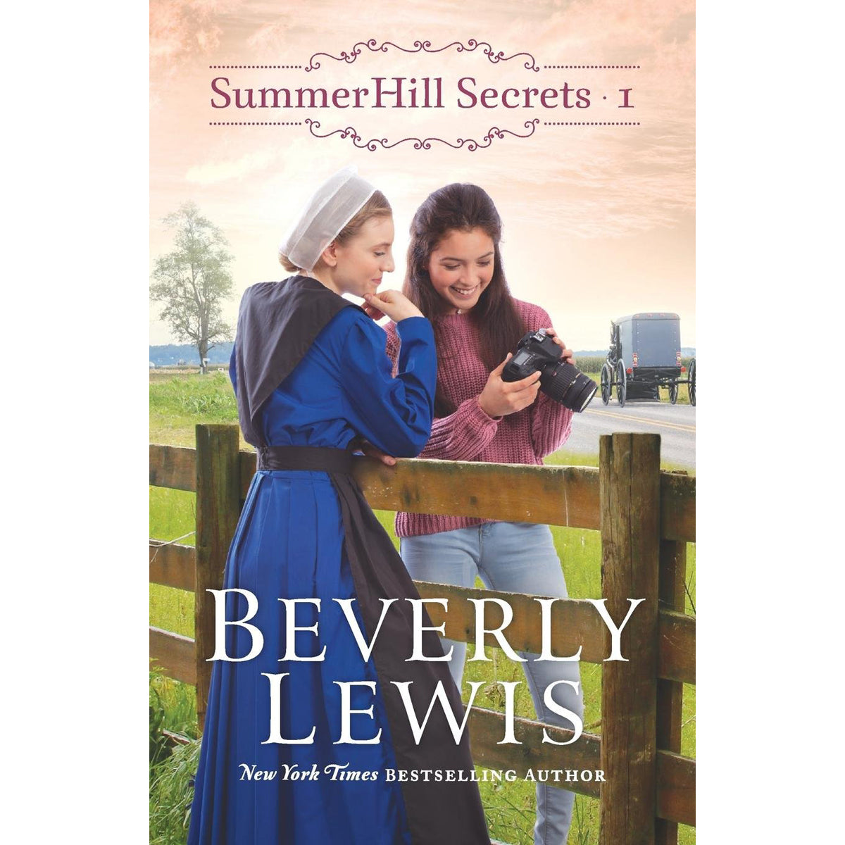 Summer Hill Secrets Vol 1 (Paperback)