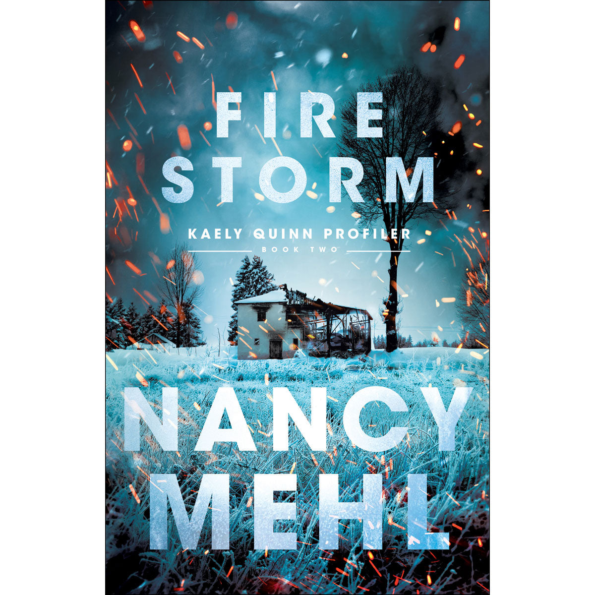 Fire Storm (2 Kaely Quinn Profiler)(Paperback)